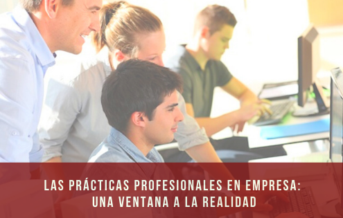 practicas profesionales