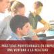 practicas profesionales